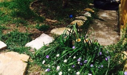 Marrickville-1962657_335588983286833_3987036802518341067_n